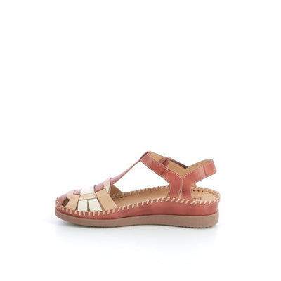 PIKOLINOS Sandales - Couleur: Brun - Mano Shoes and Bags