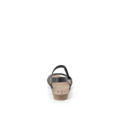  | 361XM016