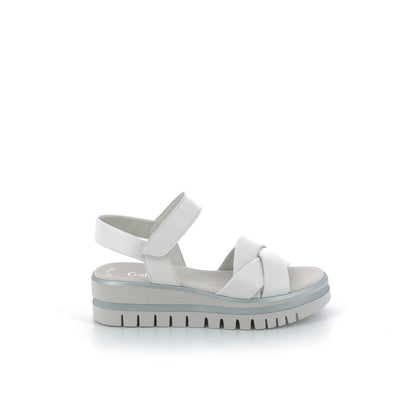 | 362XW056