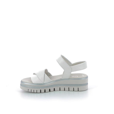 | 362XW056
