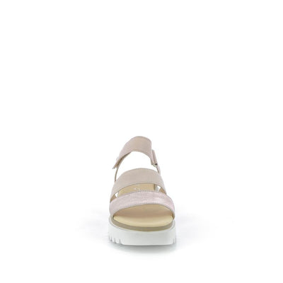  | 365XW053