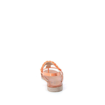  | 366XS019