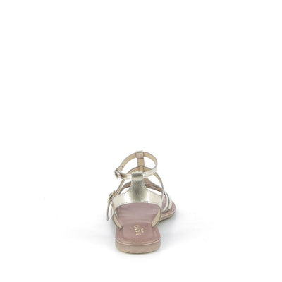  | 366XM090