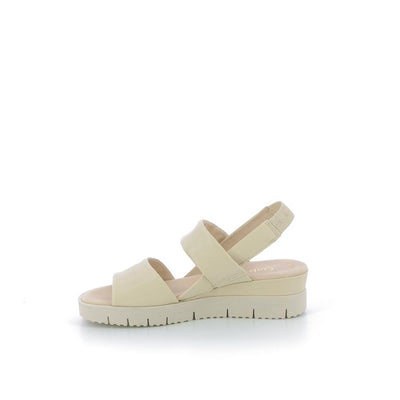  | 372XW039