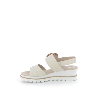  | 373XW036