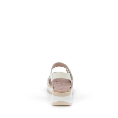  | 373XM073