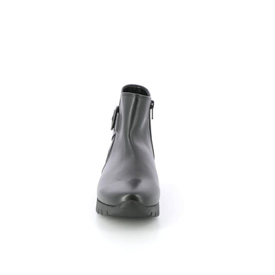  | 431XW120