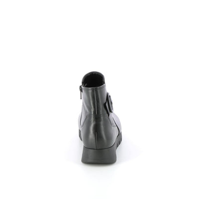  | 431XW120