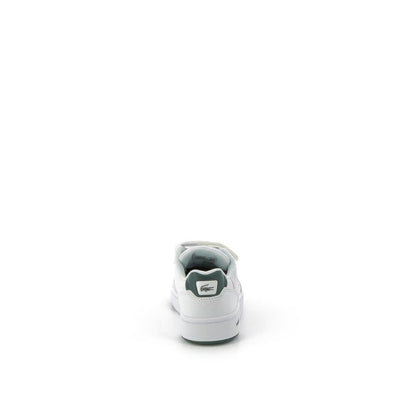 LACOSTE Baskets - Pronti