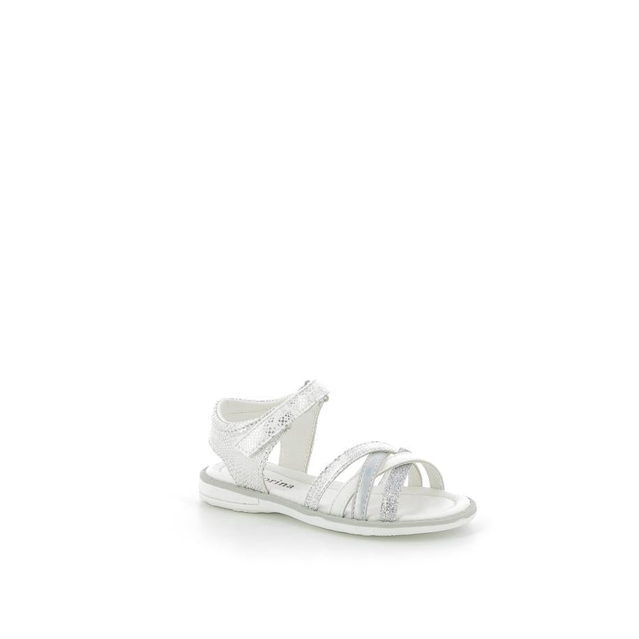  | 642XS008