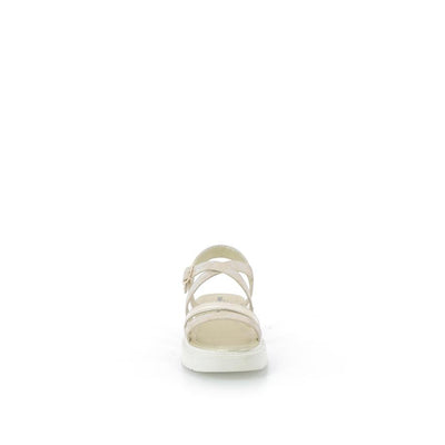  | 643XS004