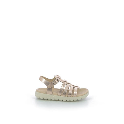  | 645XS025