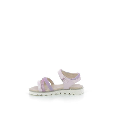  | 645XS056