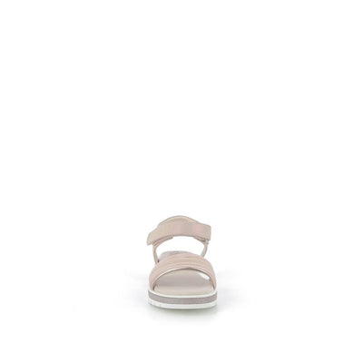 | 645XM081