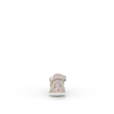  | 645XM0H2