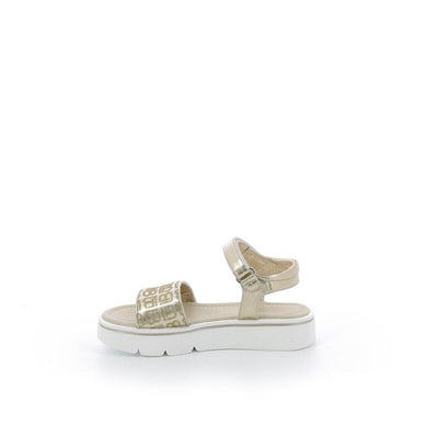  | 646XM019