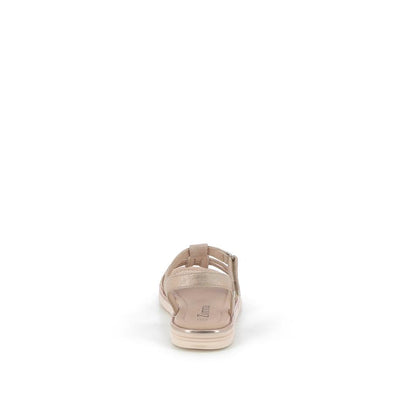  | 646XS059