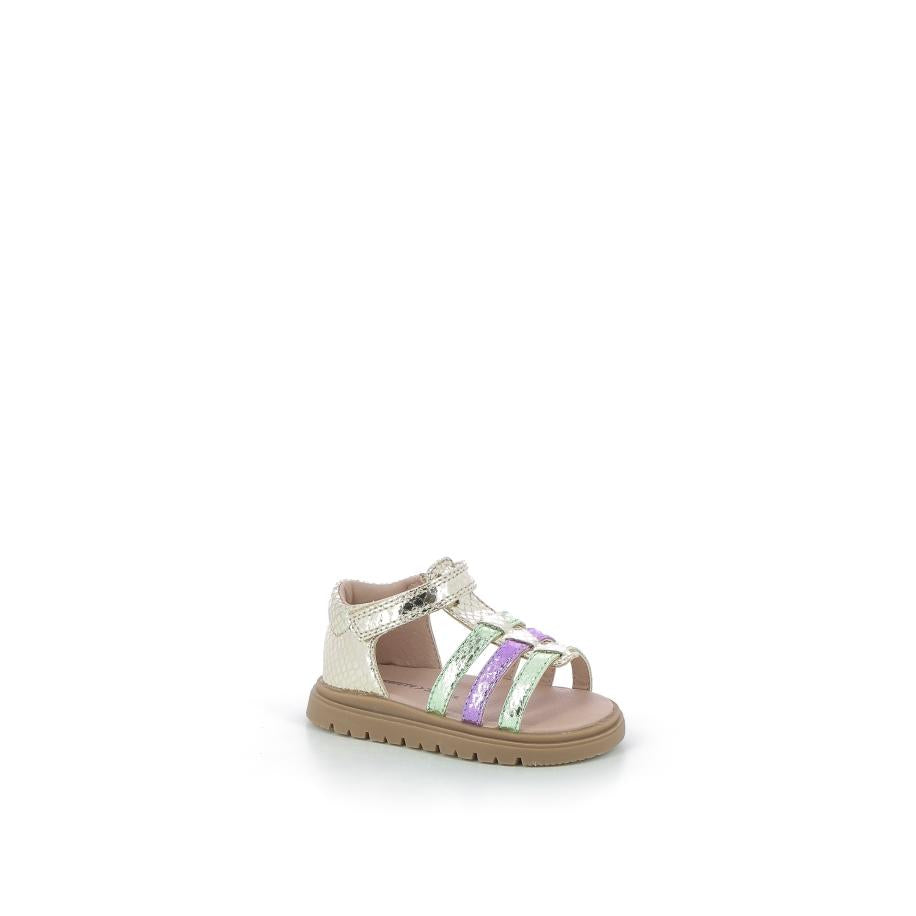  | 646XS061