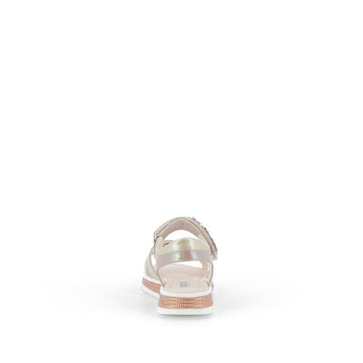  | 646XM0F3