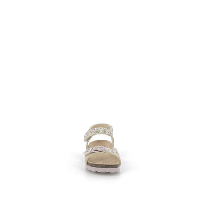  | 649XM052