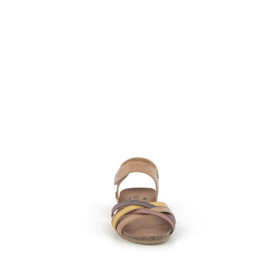  | 649XS083