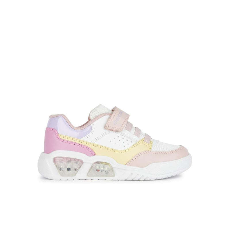 GEOX Baskets