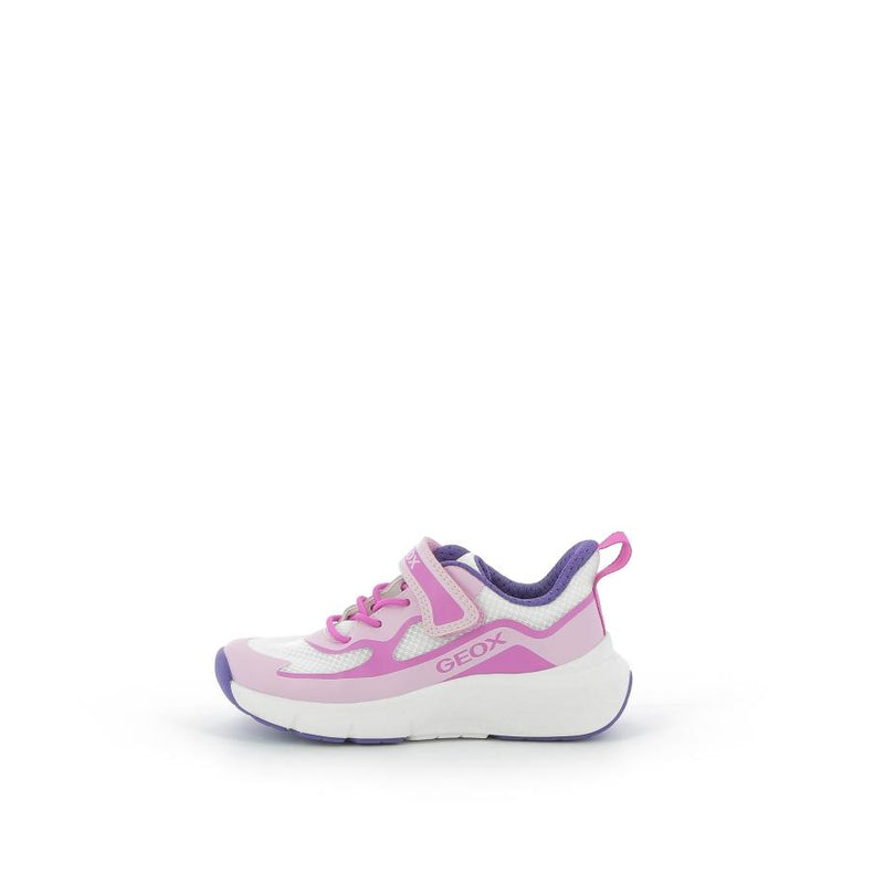 GEOX Baskets