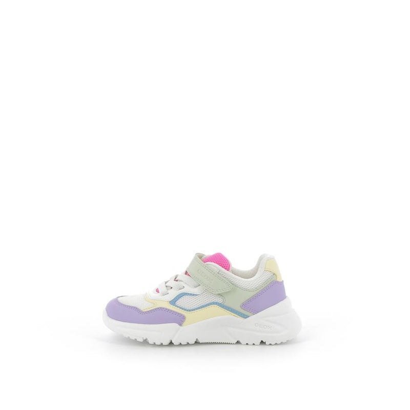 GEOX Baskets