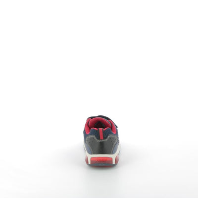 GEOX Baskets - Pronti