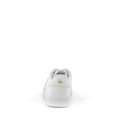  | 772XM0W3