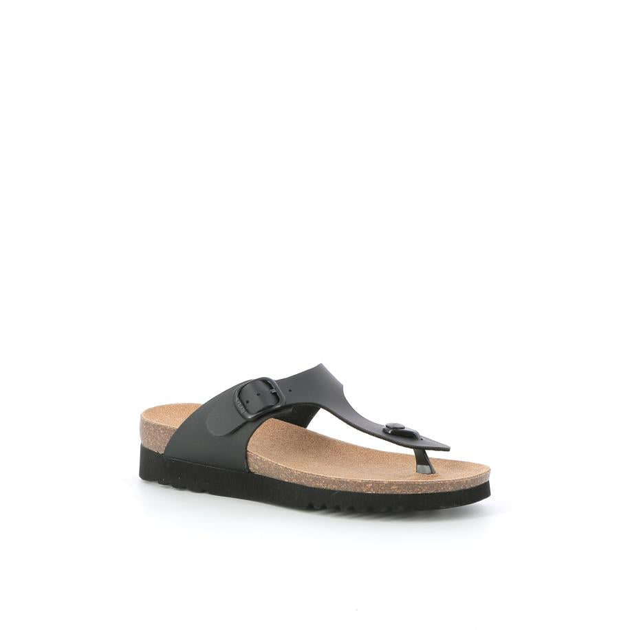  | 821XW260