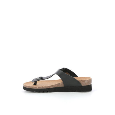  | 821XW260