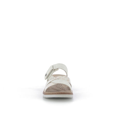  | 823XS322