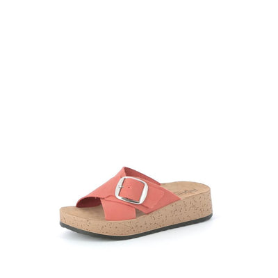  | 825XW2W8