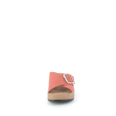  | 825XW2W8