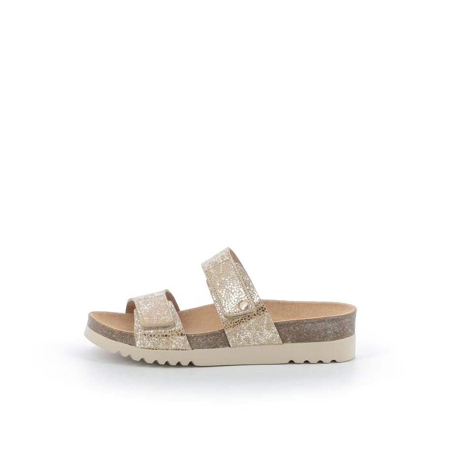  | 826XW1W8