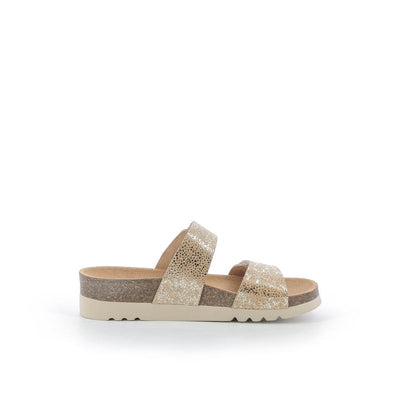  | 826XW1W8