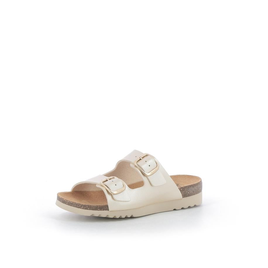  | 826XW243