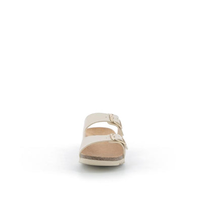  | 826XW243