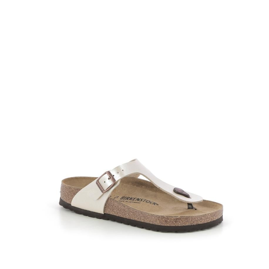  | 829XW081