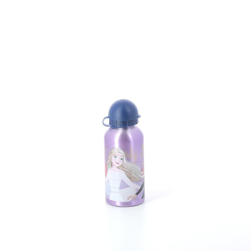 Fles bevroren water